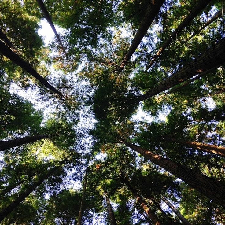 Overview of protected areas